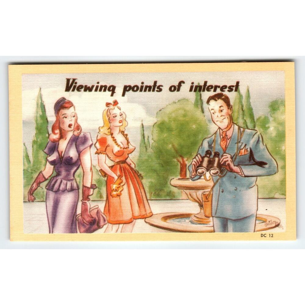 Vintage Linen Comic Postcard Viewing Points of Interest DC 12 1950s